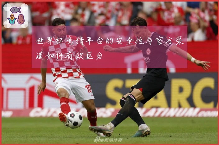 世界杯竞猜平台的安全性与官方渠道如何有效区分