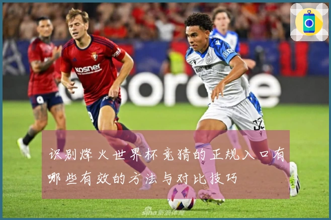 识别烽火世界杯竞猜的正规入口有哪些有效的方法与对比技巧