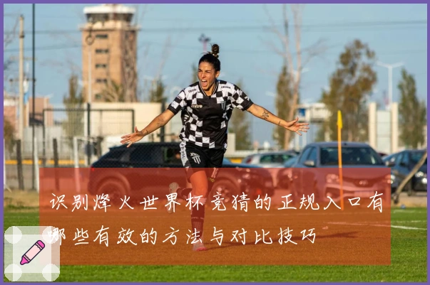 识别烽火世界杯竞猜的正规入口有哪些有效的方法与对比技巧