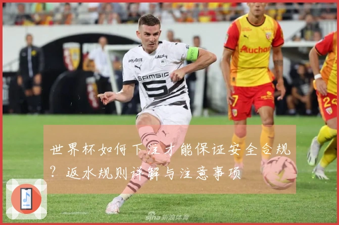 世界杯如何下注才能保证安全合规？返水规则详解与注意事项