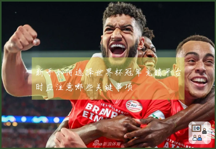 新手如何选择世界杯冠军竞猜平台时应注意哪些关键事项