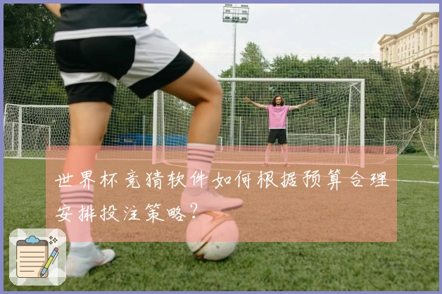 世界杯竞猜软件如何根据预算合理安排投注策略？